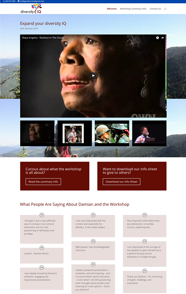 New WordPress Website for Diversity IQ by Efficient VA Sarah MacGregor of SMac To The Rescue